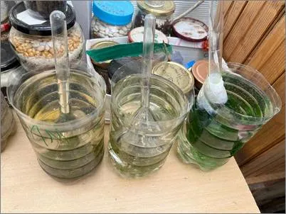 Eksperimenti vo Staklenata gradina 1