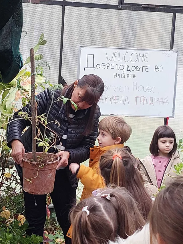 Го запознаваме и истражуваме растителниот свет