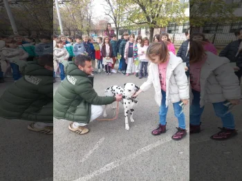 Како кучето и детето да бидат весели и безбедни пријатели, 17-11-2025 - слика 8